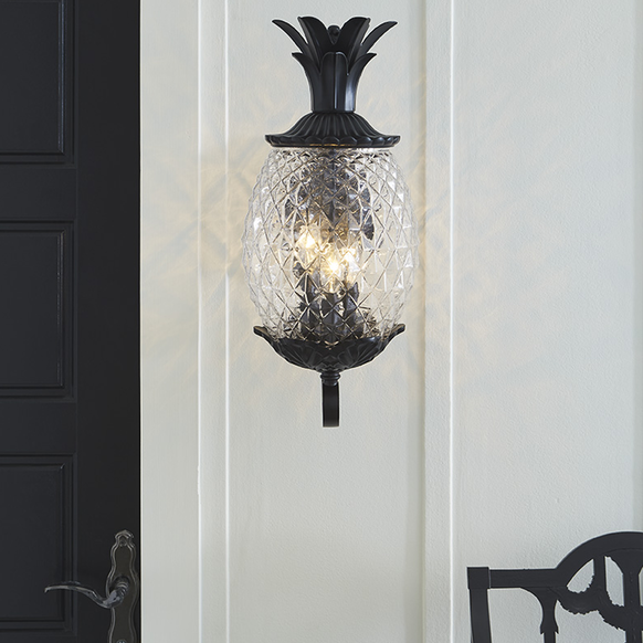 Acclaim Lighting Outdoor Lighting