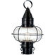 Classic Onion 1 Light 17.5 inch Black with Clear Outdoor Post Light, Medium