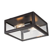Flush Mounts