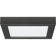 Flush Mounts
