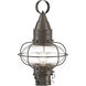 Classic Onion 1 Light 17.5 inch Bronze with Clear Outdoor Post Light, Medium