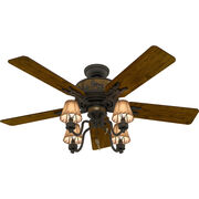 Indoor Ceiling Fans
