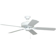 Indoor Ceiling Fans