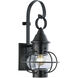 Vidalia Onion 1 Light 8.75 inch Outdoor Wall Light