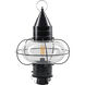 Classic Onion 1 Light 22.38 inch Black Outdoor Post in Clear, Large