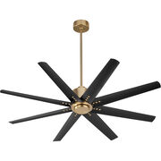 Indoor Ceiling Fans