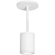 Outdoor Pendants / Chandeliers