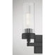 Lida 2 Light 14 inch Matte Black with Clear Vanity Light Wall Light
