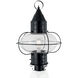 Classic Onion 1 Light 22.38 inch Black Outdoor Post in Clear, Large