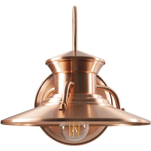 Budapest 1 Light 12.5 inch Copper Outdoor Wall, Large