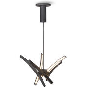 Outdoor Pendants / Chandeliers