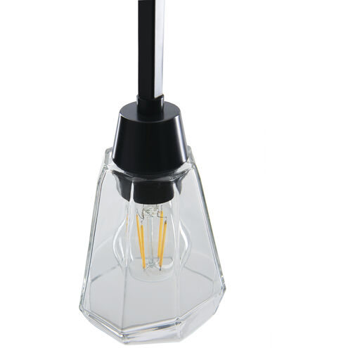 Arctic 1 Light 5 inch Acid Dipped Black with Clear Pendant Ceiling Light