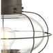 Cottage Onion 1 Light 14.63 inch Bronze Outdoor Post in Clear, Medium