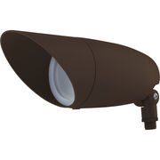 Landscape Lighting