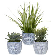 Artificial Flowers & Plants