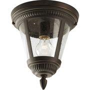 Outdoor Ceiling Lights