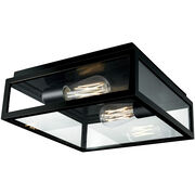 Outdoor Ceiling Lights