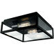 Capture 2 Light 12 inch Matte Black with Clear Outdoor Flush Mount