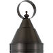 Classic Onion 1 Light 22.38 inch Bronze Outdoor Post in Clear, Large