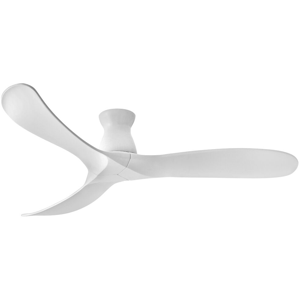 Swell Fan