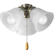 Fan Light Kits