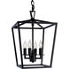 Cage 4 Light 12 inch Matte Black Pendant Ceiling Light, Small