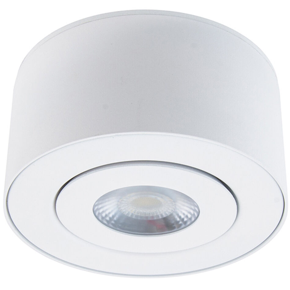 I Spy Outdoor Flush Mount