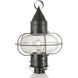 Classic Onion 1 Light 22.5 inch Gunmetal with Clear Outdoor Post Light in Gun Metal, Seedy, Large