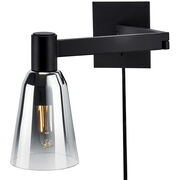 Swing Arm / Wall Lamps