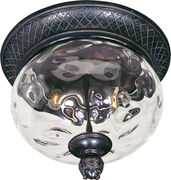 Outdoor Ceiling Lights