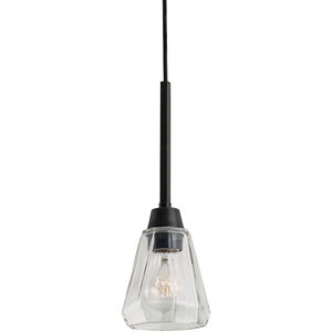 Arctic 1 Light 5 inch Acid Dipped Black with Clear Pendant Ceiling Light