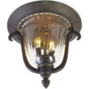 Outdoor Ceiling Lights