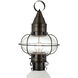 Classic Onion 1 Light 17.5 inch Bronze Outdoor Post in Clear, Medium