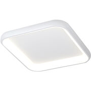 Flush Mounts