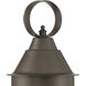 Cottage Onion 1 Light 14.63 inch Bronze Outdoor Post in Clear, Medium