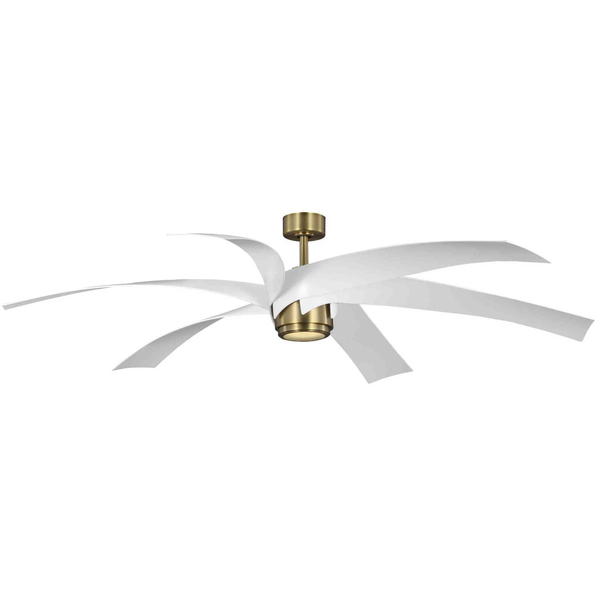Insigna Ceiling Fan