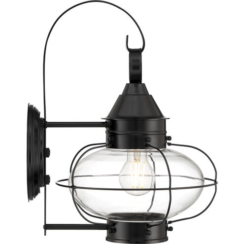 Cottage Onion 1 Light 15.75 inch Black Outdoor Wall in Clear, Large