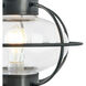 American Onion 1 Light 19 inch Gunmetal with Clear Outdoor Post Light in Gun Metal, Medium