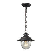 Outdoor Pendants / Chandeliers
