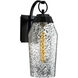 Lyrids 1 Light 14 inch Matte Black with Clear Outdoor Wall Sconce