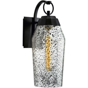 Lyrids 1 Light 14 inch Matte Black with Clear Outdoor Wall Sconce