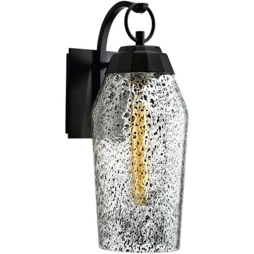 Lyrids 1 Light 14 inch Matte Black with Clear Outdoor Wall Sconce