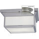 Taylor 2 Light 12.5 inch Brushed Nickel with Matte Opal Flush Mount Ceiling Light