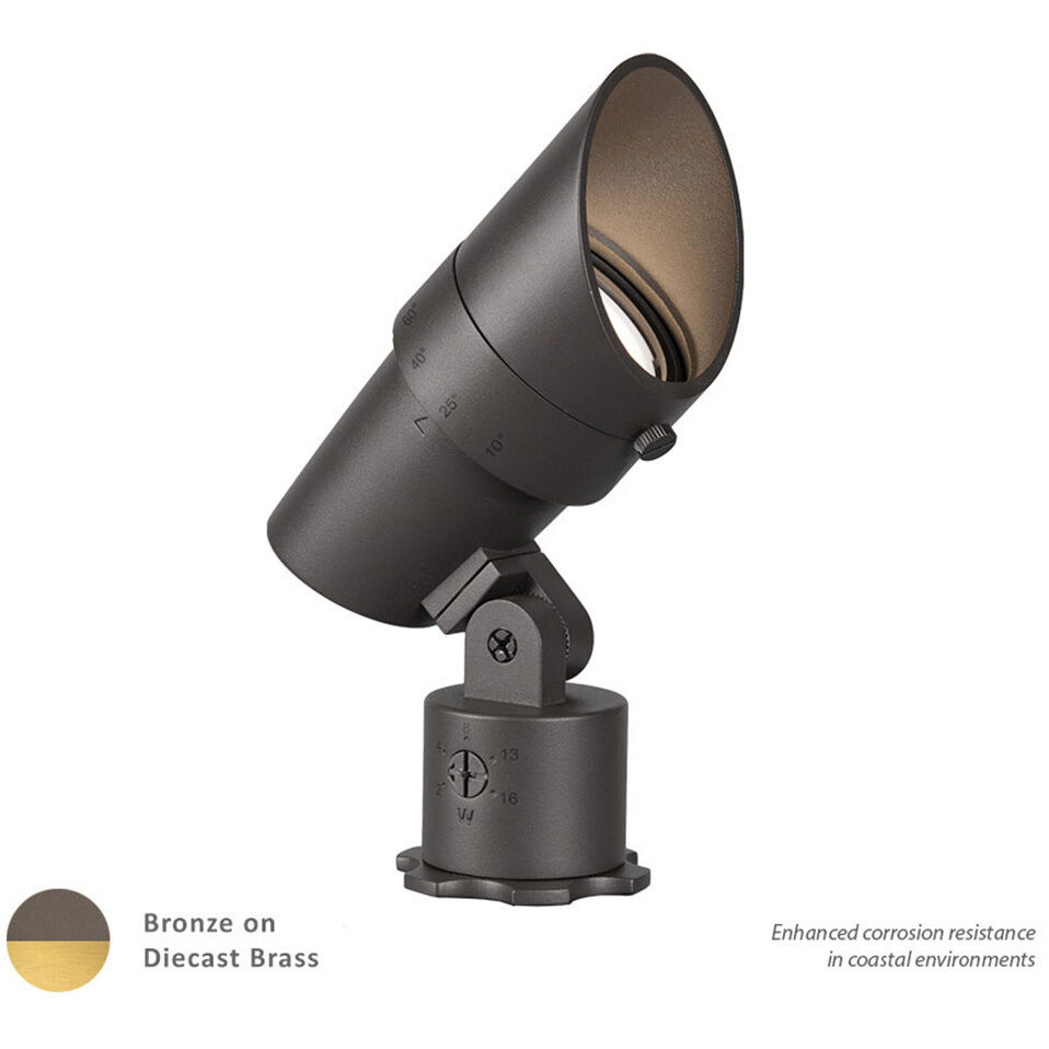 Tyler Accent Light