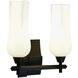 Fleur 2 Light 14.75 inch Bathroom Vanity Light