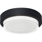 Outdoor Ceiling Lights