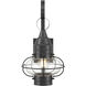 Classic Onion 1 Light 16 inch Gunmetal with Clear Outdoor Wall Sconce in Gun Metal, Seedy, Small