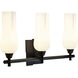 Fleur 3 Light 25.25 inch Bathroom Vanity Light
