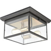 Outdoor Ceiling Lights