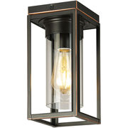 Outdoor Ceiling Lights